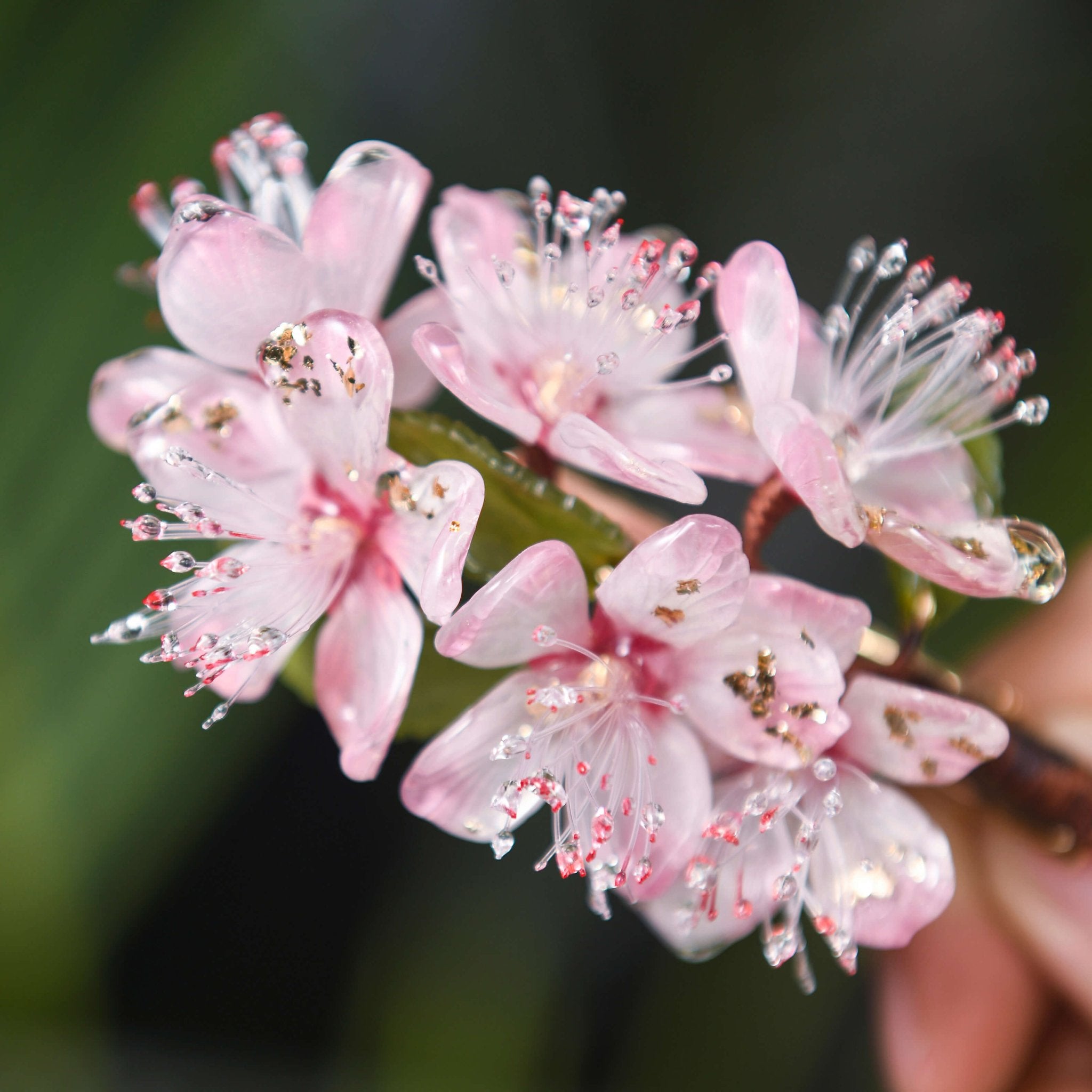 Flowering Pink Cherry Blossom Hair ClipHair ClipsJewelryBlossomuniqueflowerearringsgiftforhermothergiftdaughtergiftbirthdaygiftanniversarygift